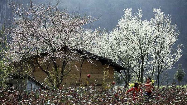 du lịch điện biên 1