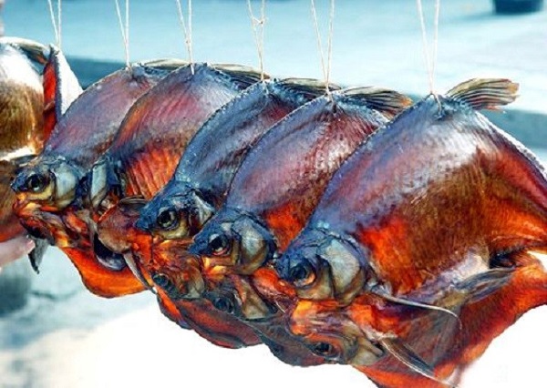 du lịch phượng hoàng cổ trấn 12